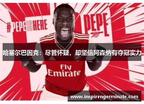 哈塞尔巴因克：尽管怀疑，却坚信阿森纳有夺冠实力